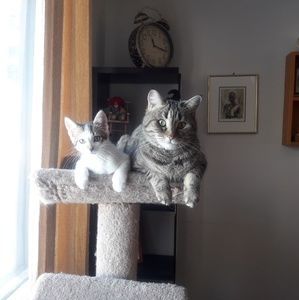 Meet your Posher, Leslie